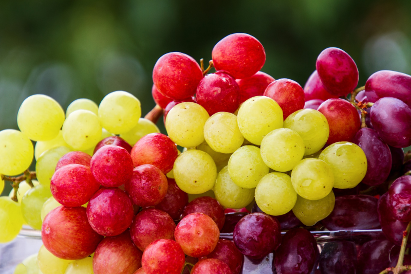 2 Cups of Grapes per Day Could Help You improve your Health and Helps you live longer