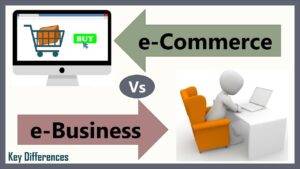 E-commerce and E-business- newsmint.in